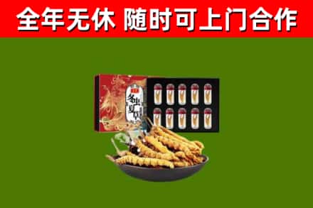 安阳市烟酒回收冬虫夏草礼盒.jpg